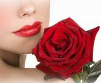 El Portal del Amor ::: Te Regalo Una Rosa